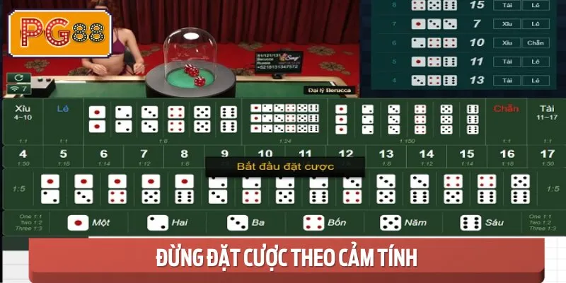 Theo dõi lịch sử cược và áp dụng chiến lược quản lý vốn một cách chặt chẽ.